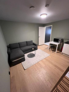 Modern 1-room apartment - right by the Arctic Cathedral and Fjellheisen
